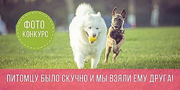 "Питомцу было скучно и мы взяли ему друга"