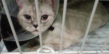 Как важно вовремя оказать помощь!!!