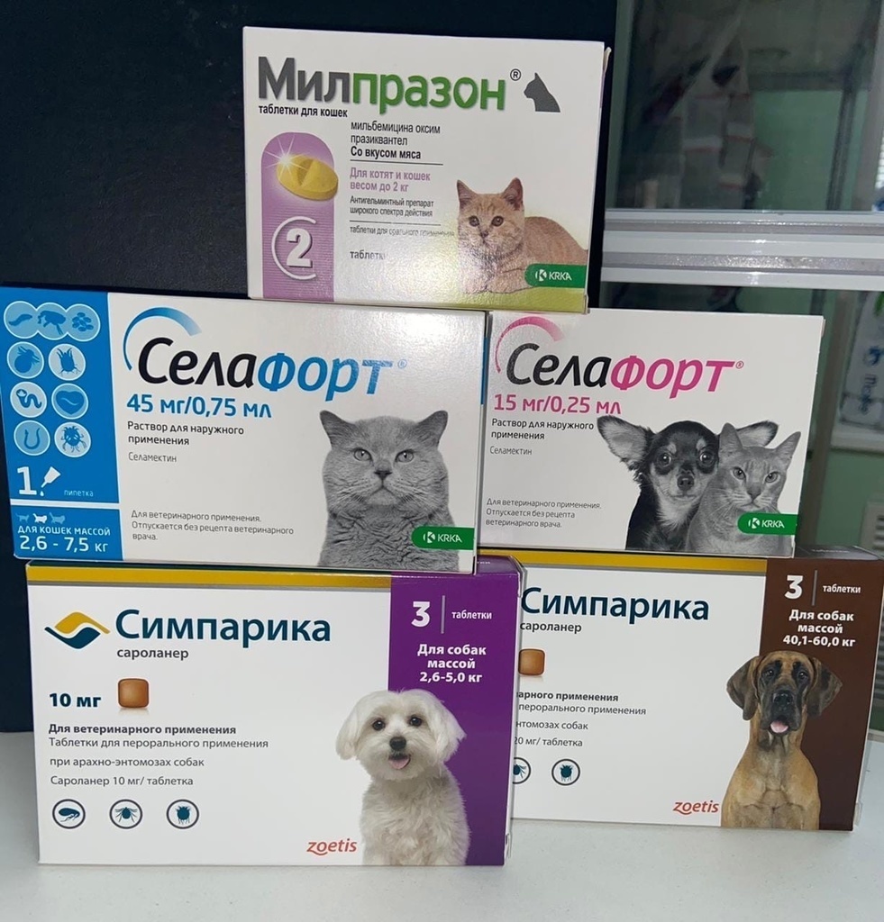Сегодня поговорим о паразитах у животных