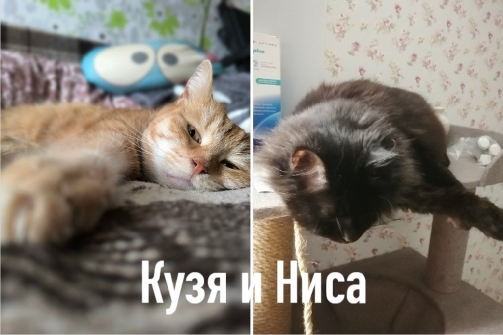 ПОБЕДИТЕЛИ фотоконкурса