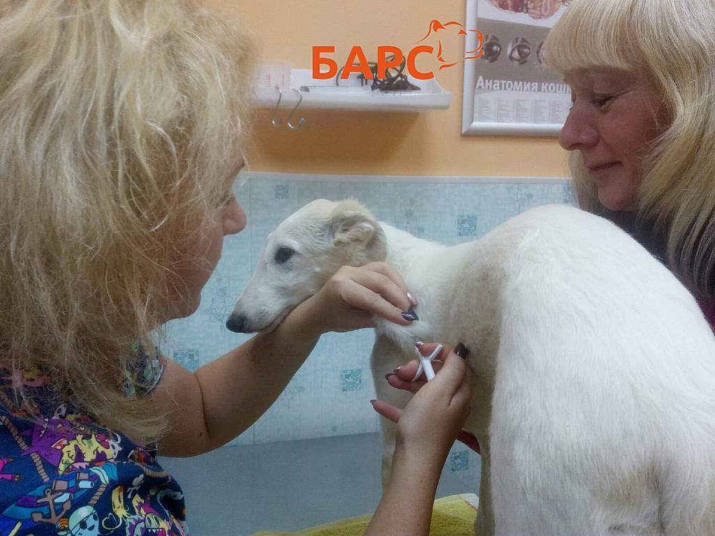 А на Скворцова - Степанова, 38 сегодня приём ведёт наша...