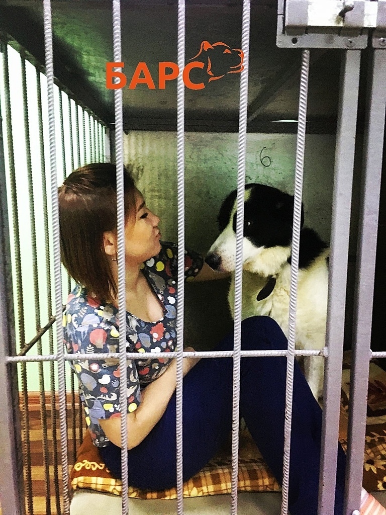 Иногда 😏ассистентов и врачей, которые плохо себя ведут...