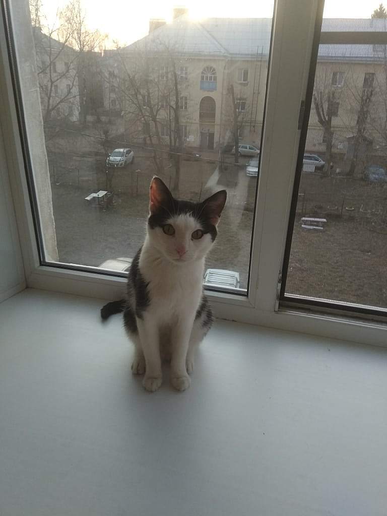 Очень часто, получается так, что прожив большую часть...
