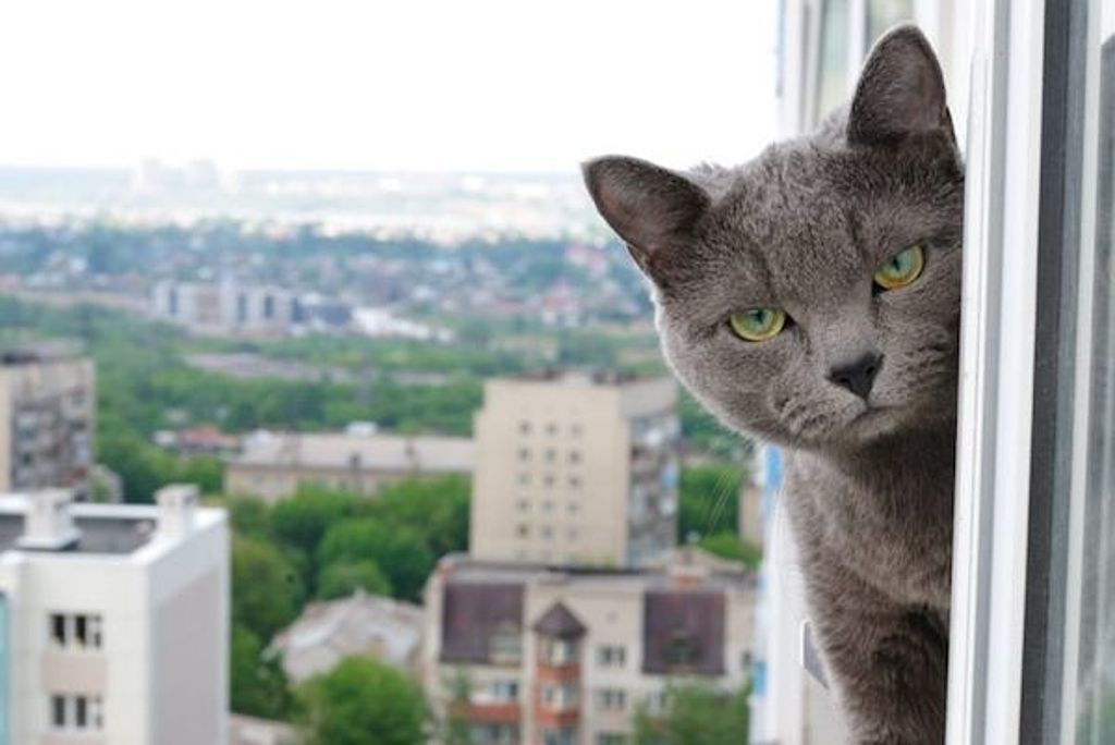 На дворе лето