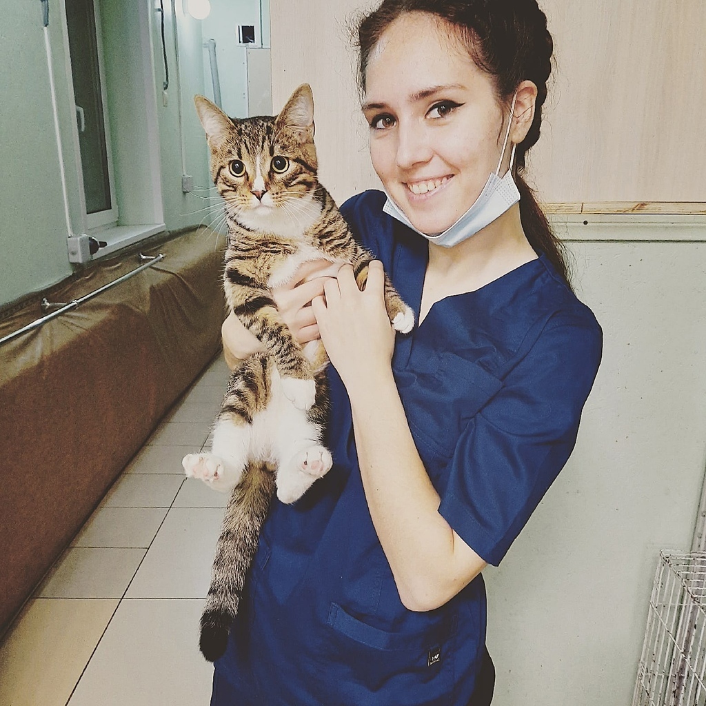 Дорогие друзья, у нас отличная новость