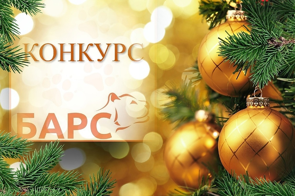 Любимые наши подписчики