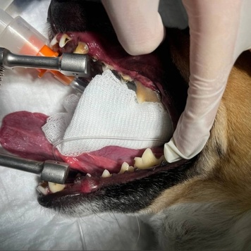 Чистка зубов - не только гигиеническая процедура!.