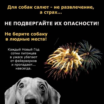 Коллектив Ветеринарного комплекса БАРС УМОЛЯЕТ!!!