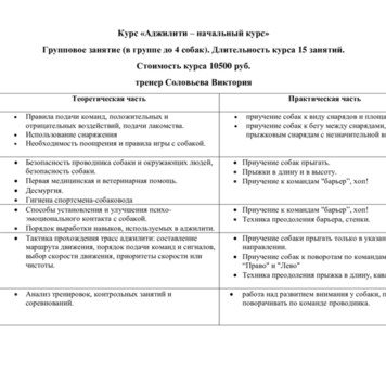 Аджилити – начальный курс