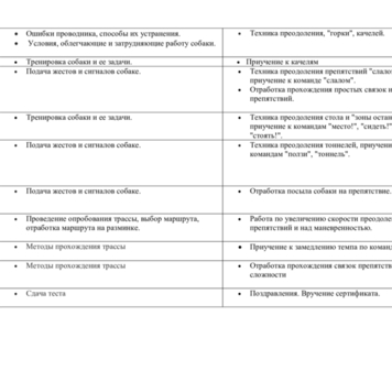 Аджилити – начальный курс