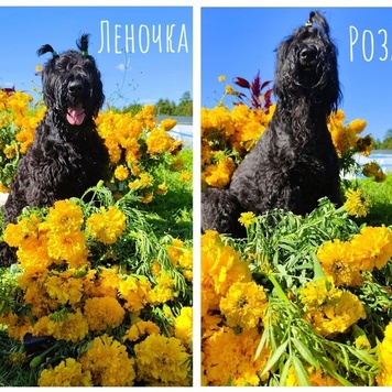 Фотоконкурс 