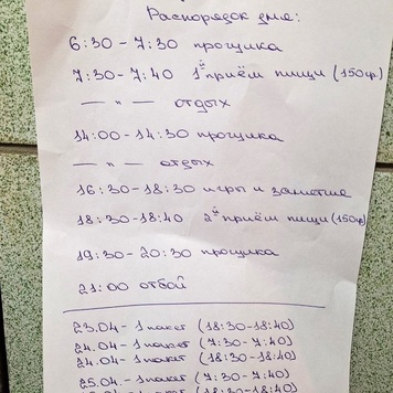Собираетесь в поездку на майские праздники и не знаете, с кем оставить питомца?