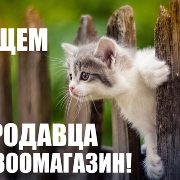 Зоомагазин БАРС на Рябеевском шоссе, д