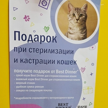 Дарим ПОДАРКИ 🎁 при стерилизации/кастрации кошек и котов