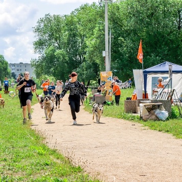 Добрая лапа БАРСа