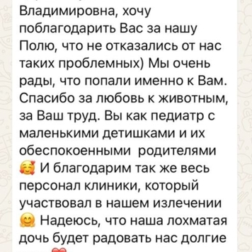 Наши пациенты: Полли 
Полли, совсем еще щенок, попала в ДТП