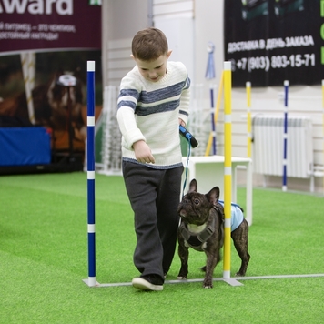 Школа юного собаковода