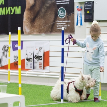 Школа юного собаковода