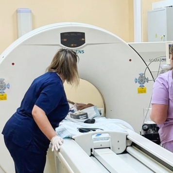 КТ для животных в Твери