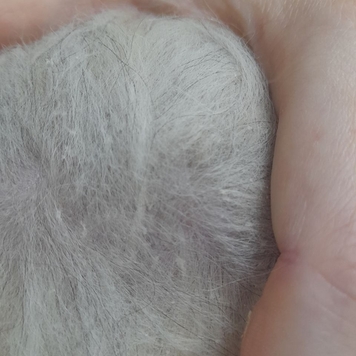 #вопрос_дерматологу У моей собаки перхоть