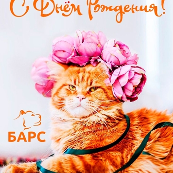 БАРС поздравляет