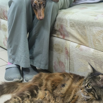 Наши пациенты: Эсми