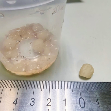 Наши пациенты: Тесса
Бигль Тесса поступила в Ветеринарную...