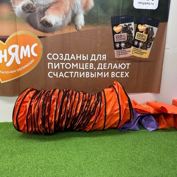 Продаем оборудование для кинологического спорта!