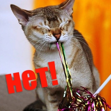 Если у вас дома живет кошка, не вешайте на елку новогодний дождик!