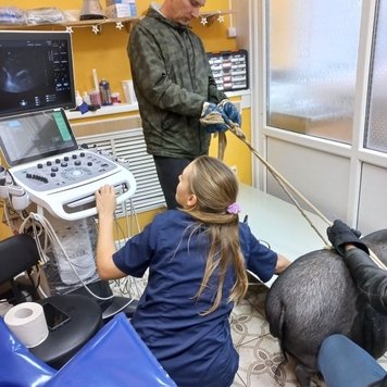 БАРС поздравляет