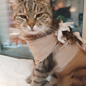 Наши пациенты: Василиса