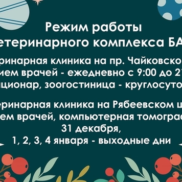 С наступающим Новым годом!