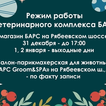 С наступающим Новым годом!
