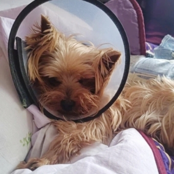 Благодарим за добрые слова!