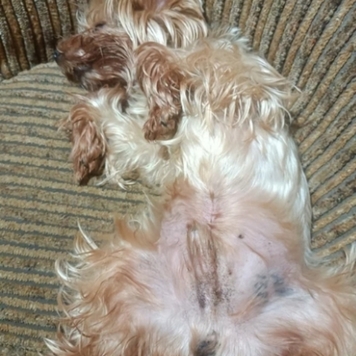 Благодарим за добрые слова!