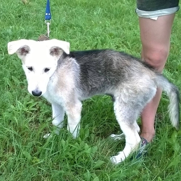 Фотоконкурс 