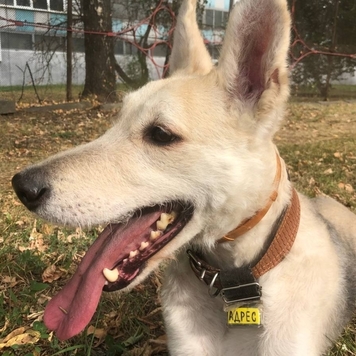 Фотоконкурс 