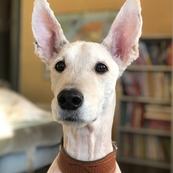 Фотоконкурс 