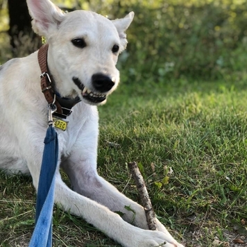 Фотоконкурс 