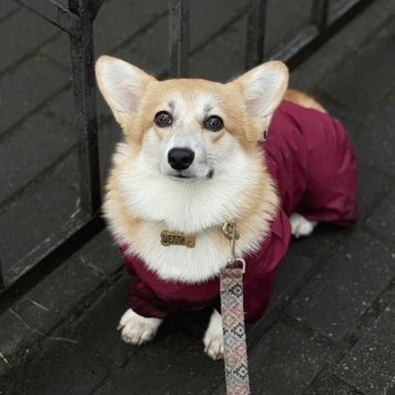 Фотоконкурс 