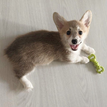 Фотоконкурс 