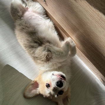 Фотоконкурс 