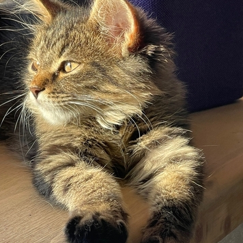 Фотоконкурс