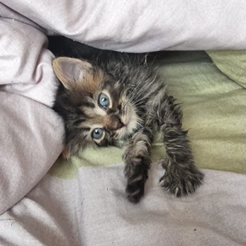 Фотоконкурс