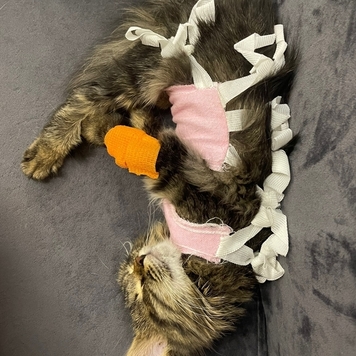 Фотоконкурс