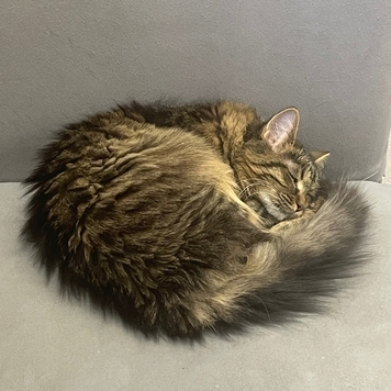 Фотоконкурс