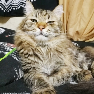 Фотоконкурс 