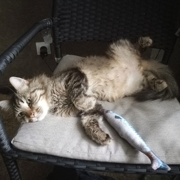 Фотоконкурс 