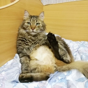 Фотоконкурс 