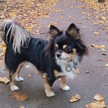 Фотоконкурс 